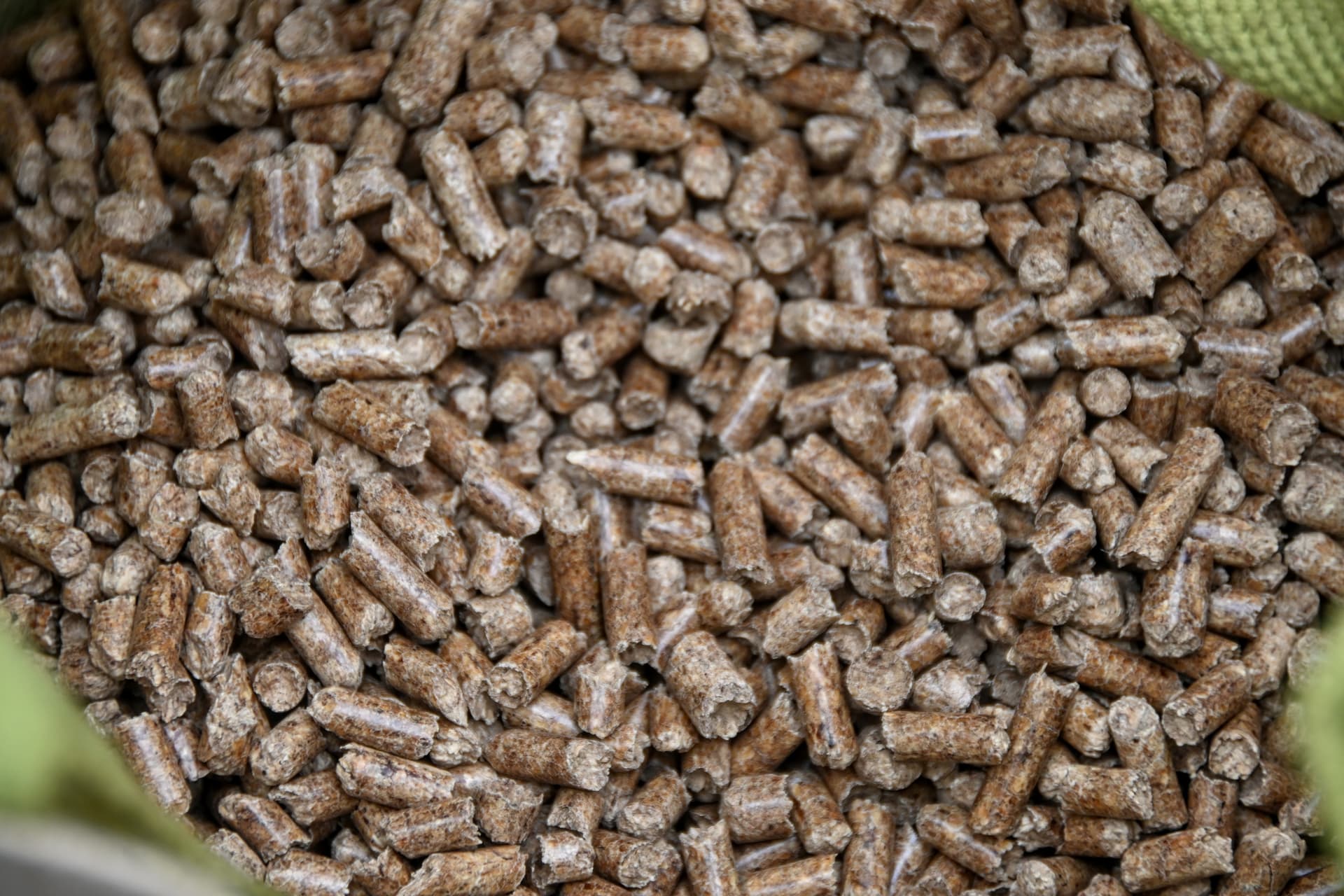 Partnerschaft mit Pellog: Ihre Lösung für eine reibungslose Pelletlogistik