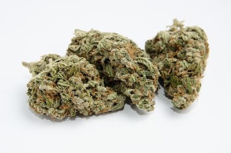 Bestellen Sie HHC-Blumen legal bei Lord of Hemp!