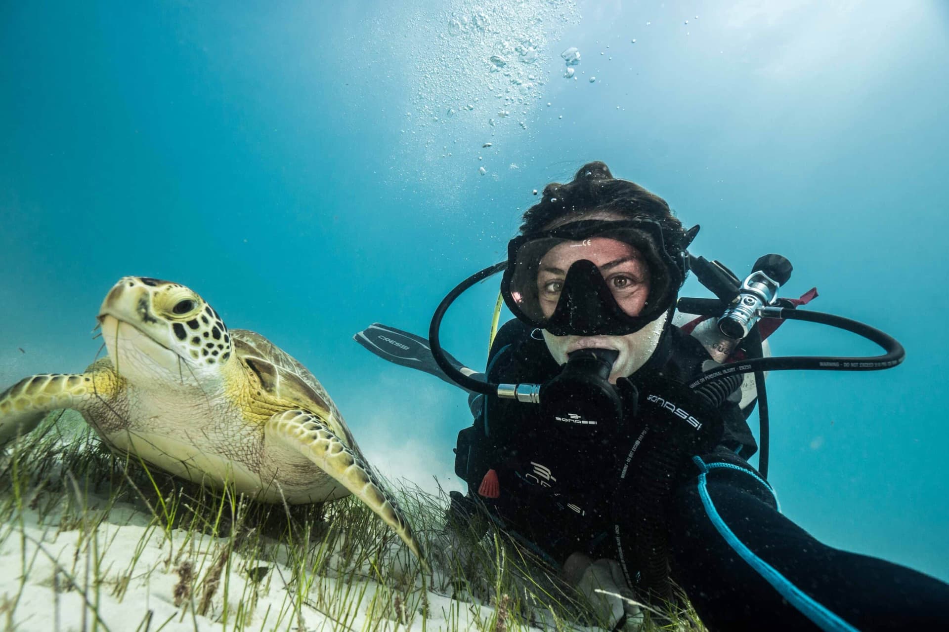 Cenoten-Magie entdecken mit der Tauchschule Playa del Carmen