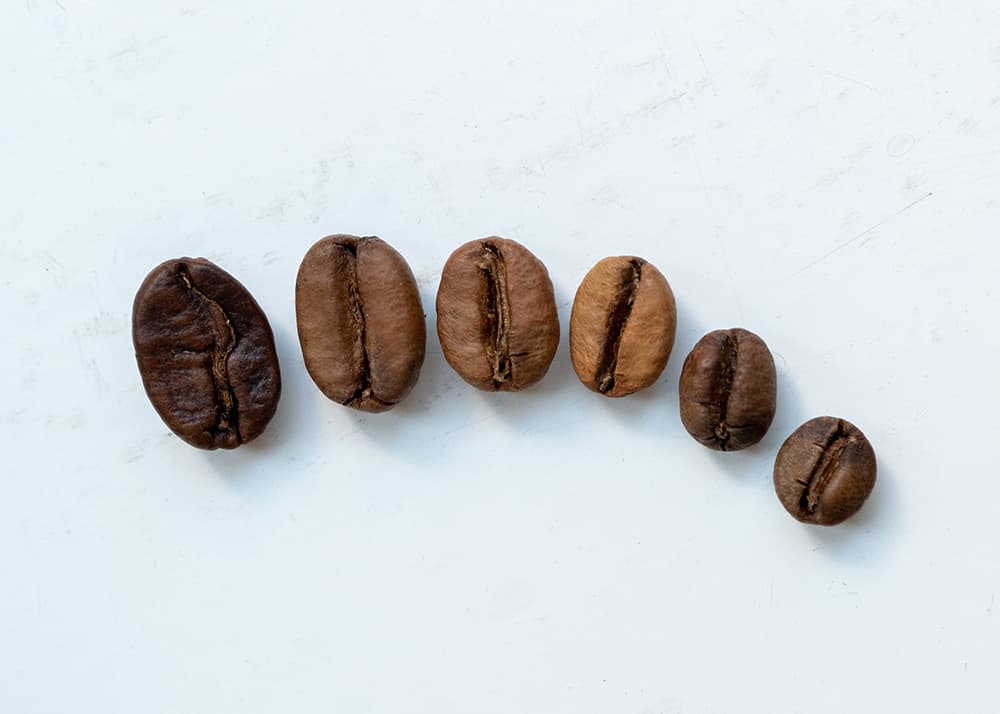 Von der Bohne zur Tasse: Espressobohnen in ihrer besten Form