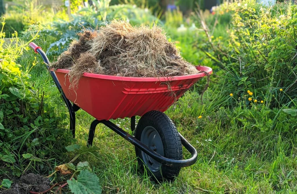 Gartenabfall Schenefeld: Bequeme Abholung für Ihren Gartenabfall