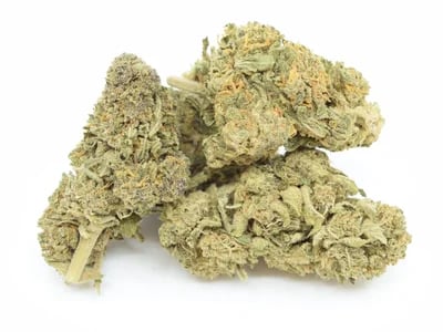 Bestellen Sie HHC-Blumen legal bei Lord of Hemp!