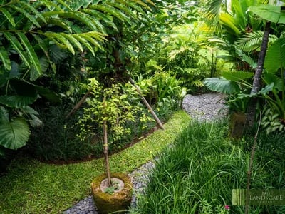 Kreative Designs für Einfahrt & Terrasse – Pflasterarbeiten Wolfenbüttel