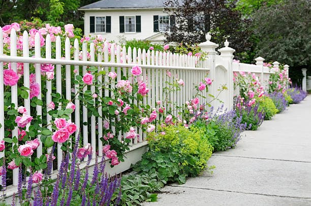 "Gartenzäune von Verzinkter Gartenzaun: Setzen Sie den Standard für Outdoor-Exzellenz"