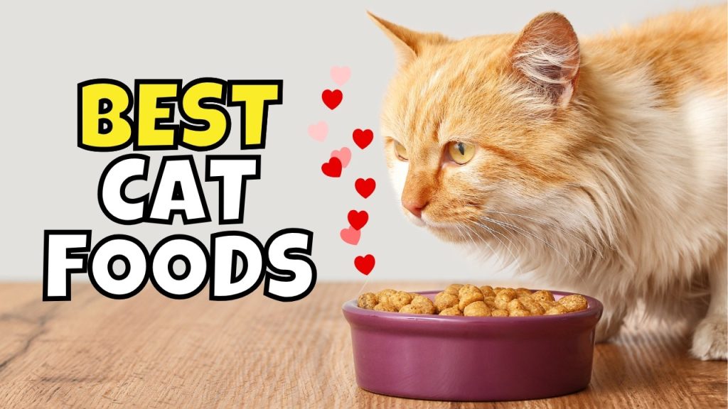 made by nacho cat food review